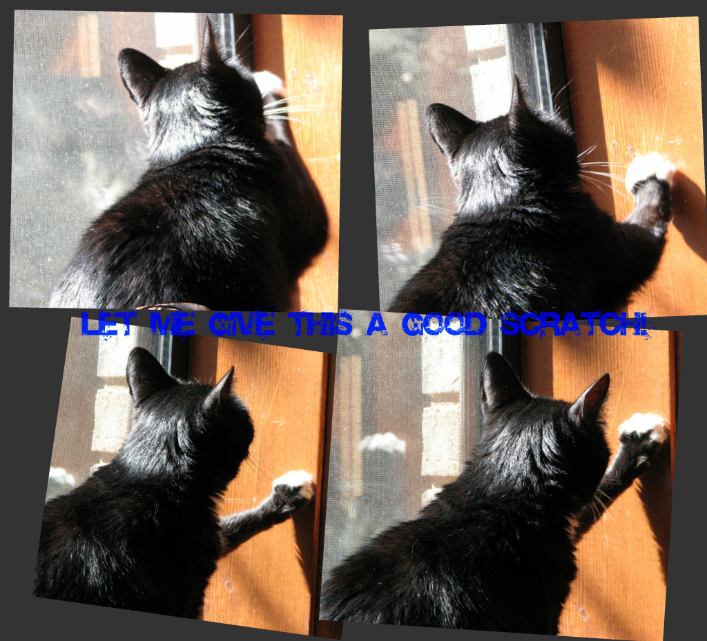 [Abbywallscratchcollage.jpg]