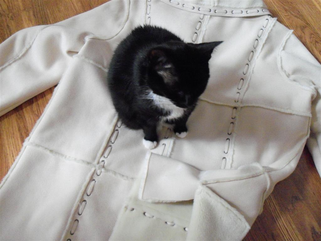 [EBAY+2222+(Large).jpg]