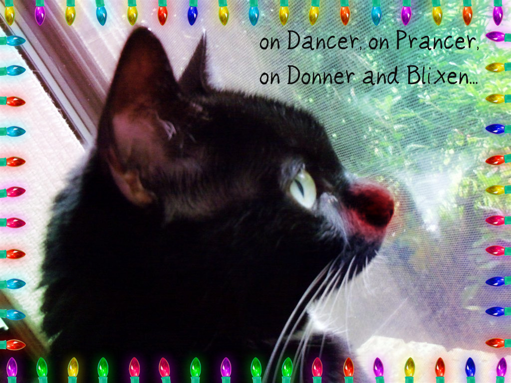 [EBAY+2384+(Large)b.jpg]