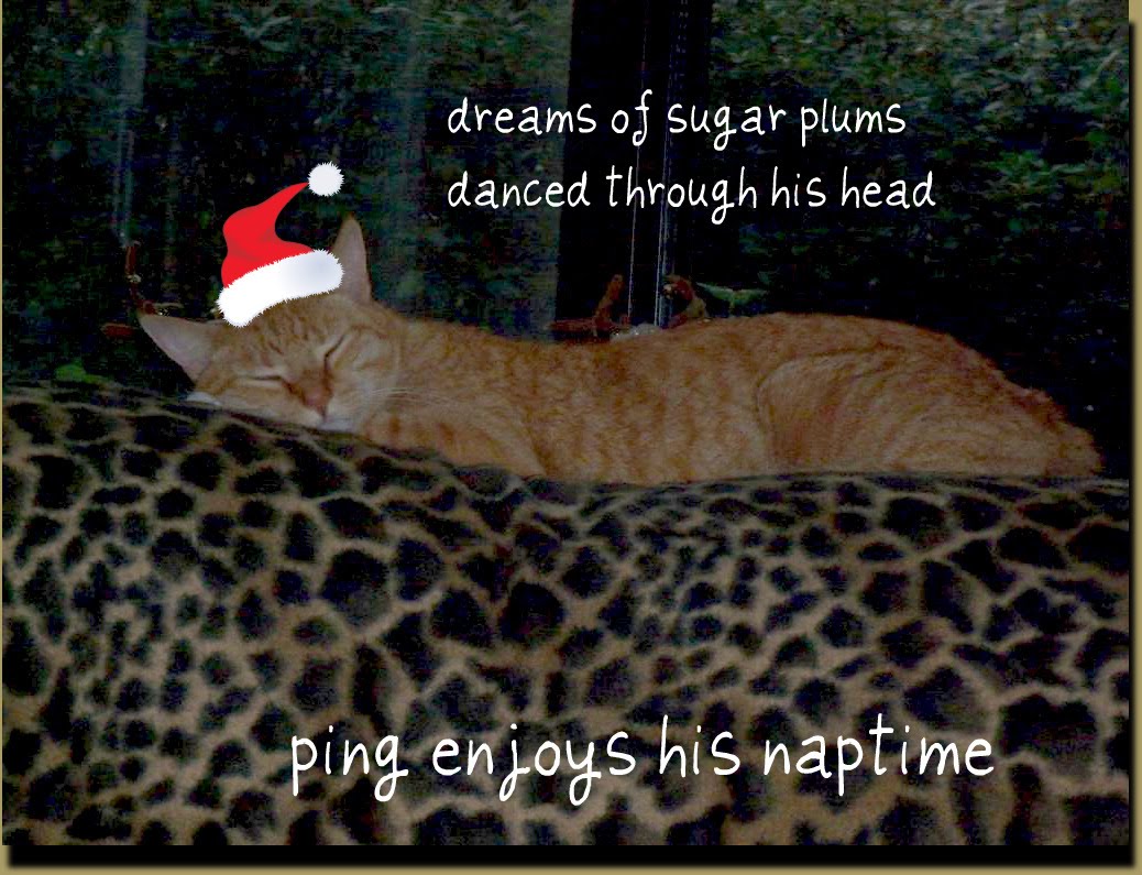 [EBAY+2359+(Large)ab.jpg]