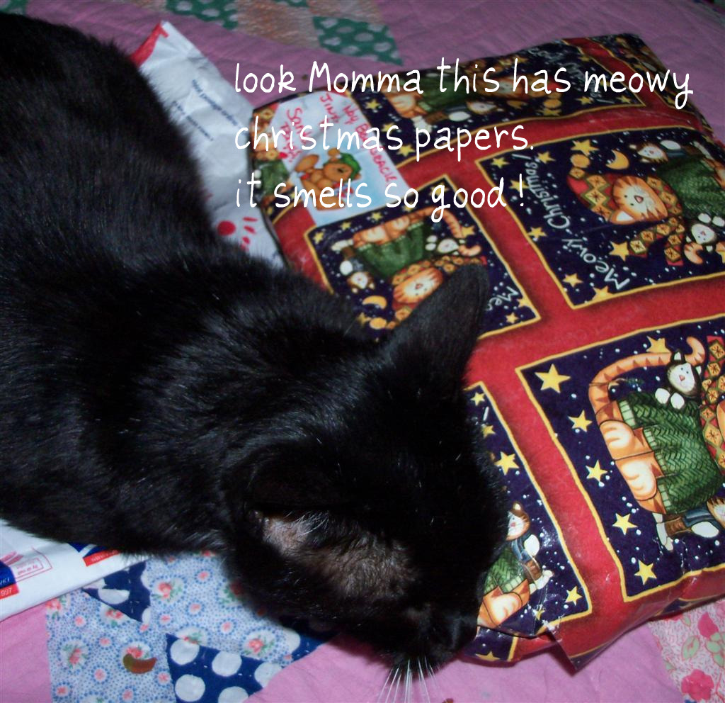 [EBAY+2306+(2)+(Large)a.jpg]