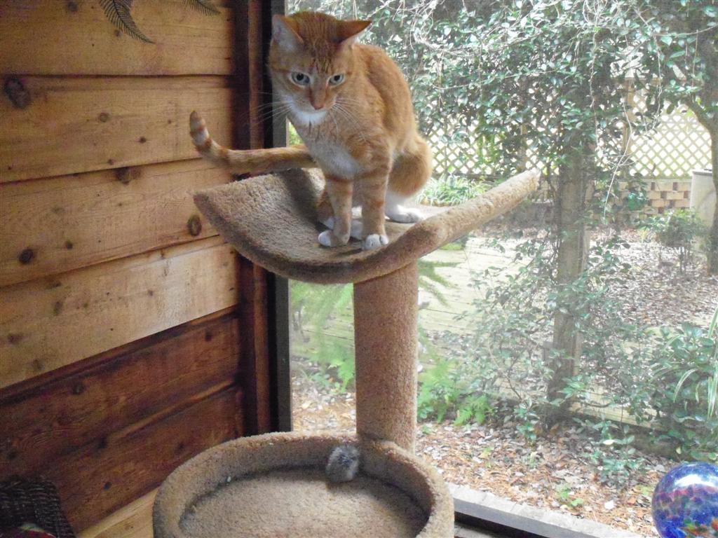 [EBAY+2571+(Large).jpg]