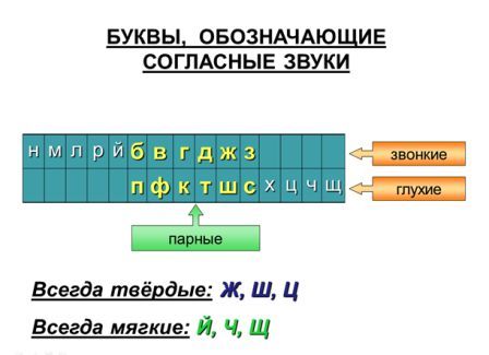 Задания для морфологического разбора прилагательного 3 класс