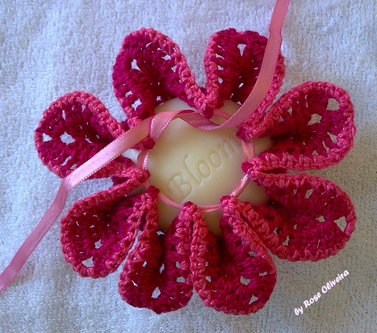 [sache+rosa+aberto.jpg]