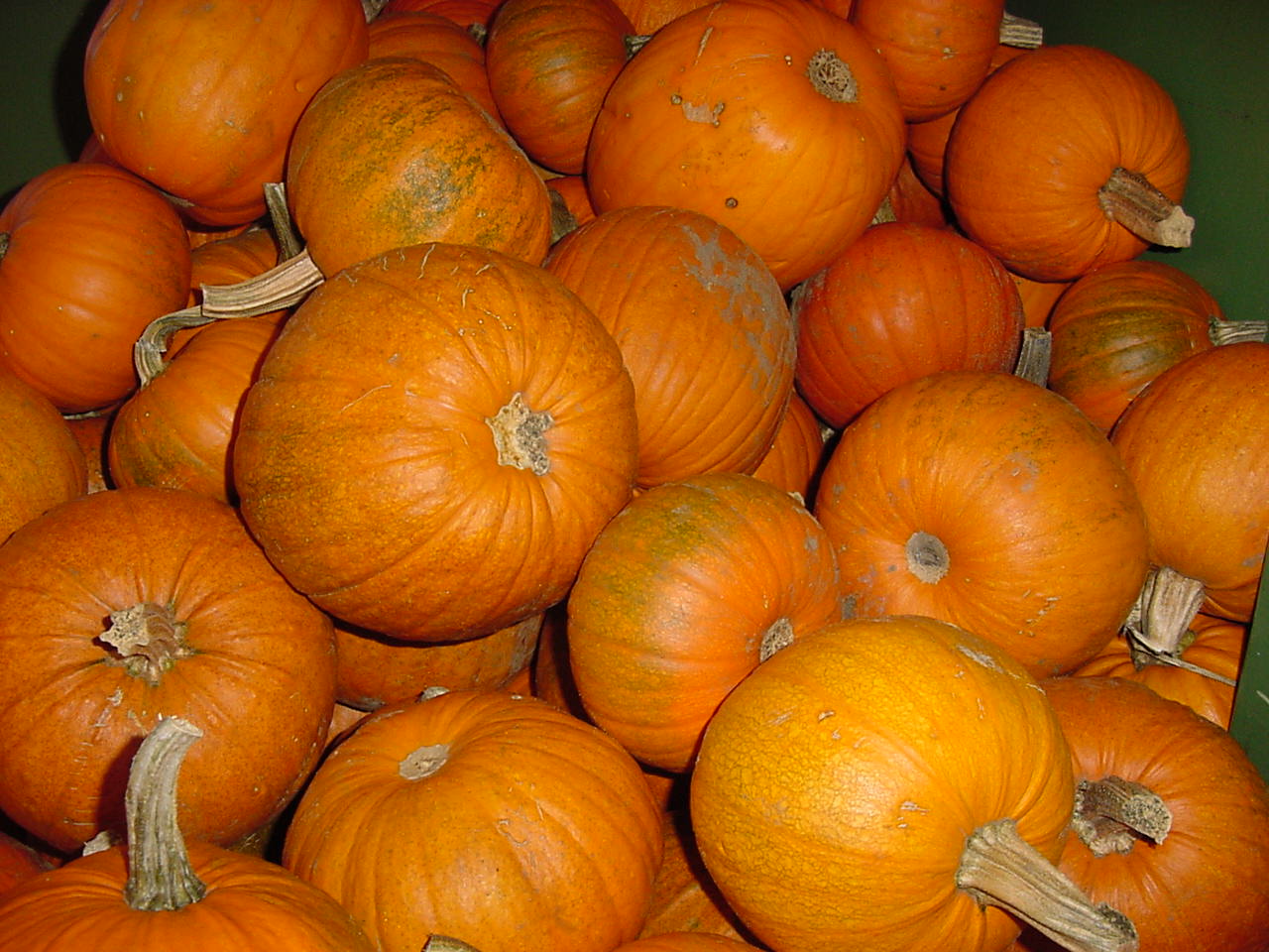 Halloween Pumpkin Pics - High Resolution | Pics - HD Wallpaper - image