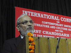 Prof Harish Trivedi delivering the keynote address, MELUS/MELOW 2010