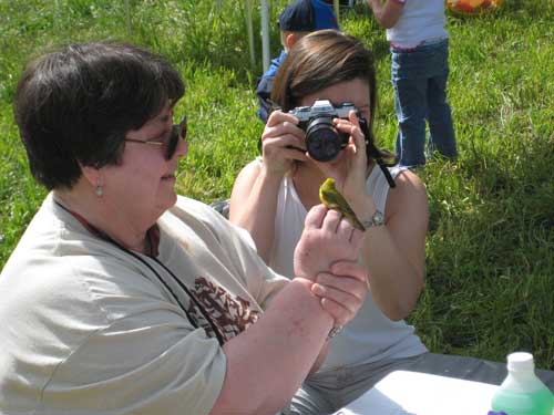 [bird-banding-2221.jpg]