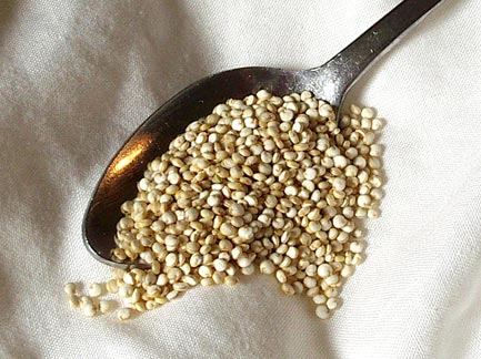 quinoa toxin