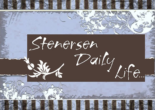 Stenersen Daily Life