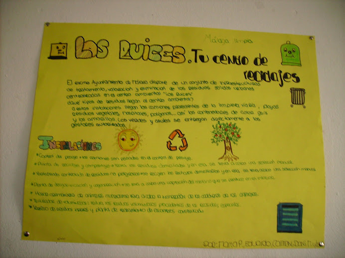 POSTER RUICES