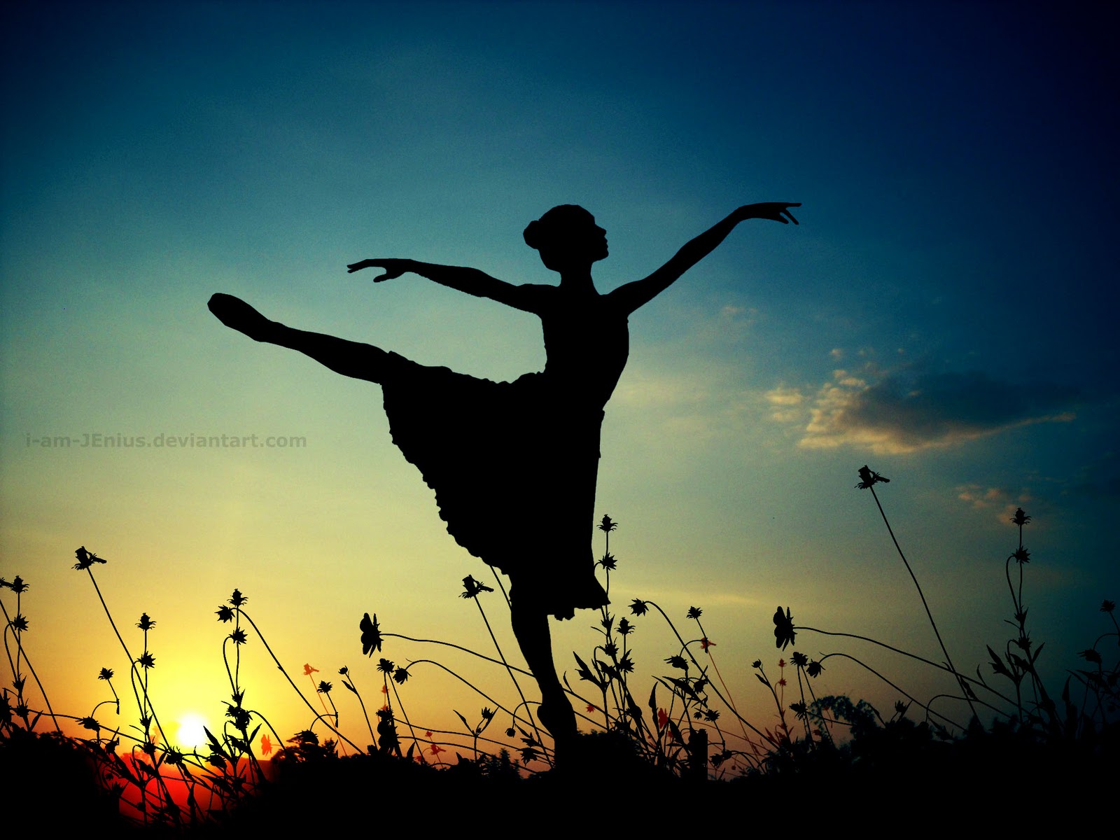 Prima_Ballerina_by_i_am_JENius