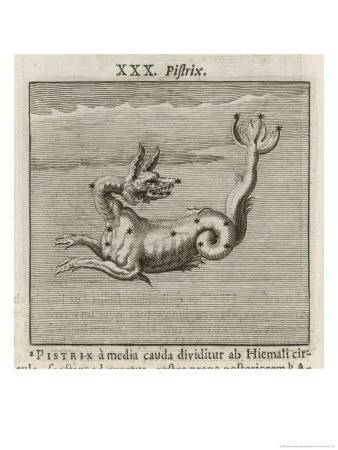 [gaius-hyginus-the-constellation-of-pistrix-the-sea-monster.jpg]