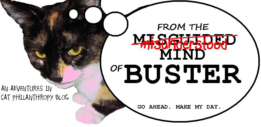 From the Misunderstood Mind of Buster