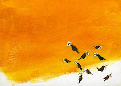 flying backwards birds yowie