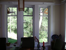 View out dining room window May 09