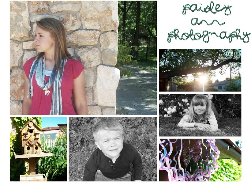 Paisley Ann Photography