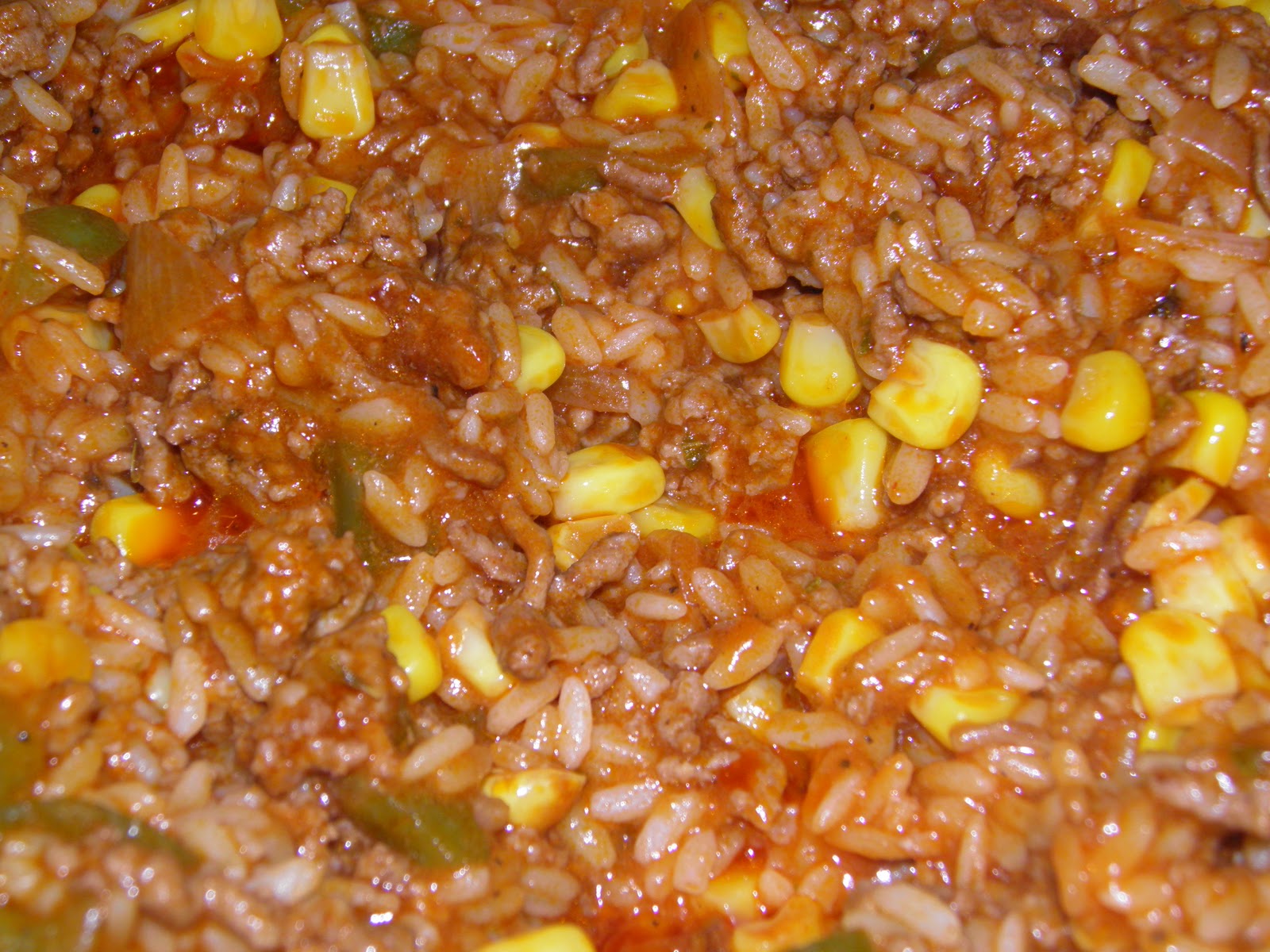 Anna s Cooking Adventure 20101001 Beefy Spanish Rice