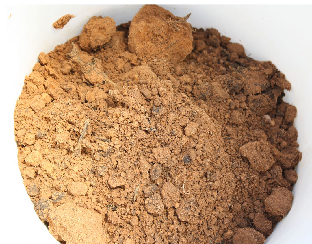 oklahoma tinctoria Washing Oklahoma Red Dirt