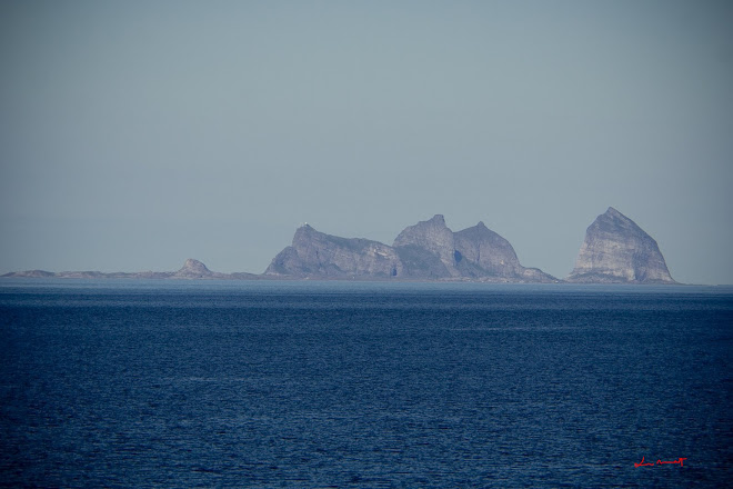 Terna