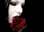 [Vampire+and+Rose.jpg]