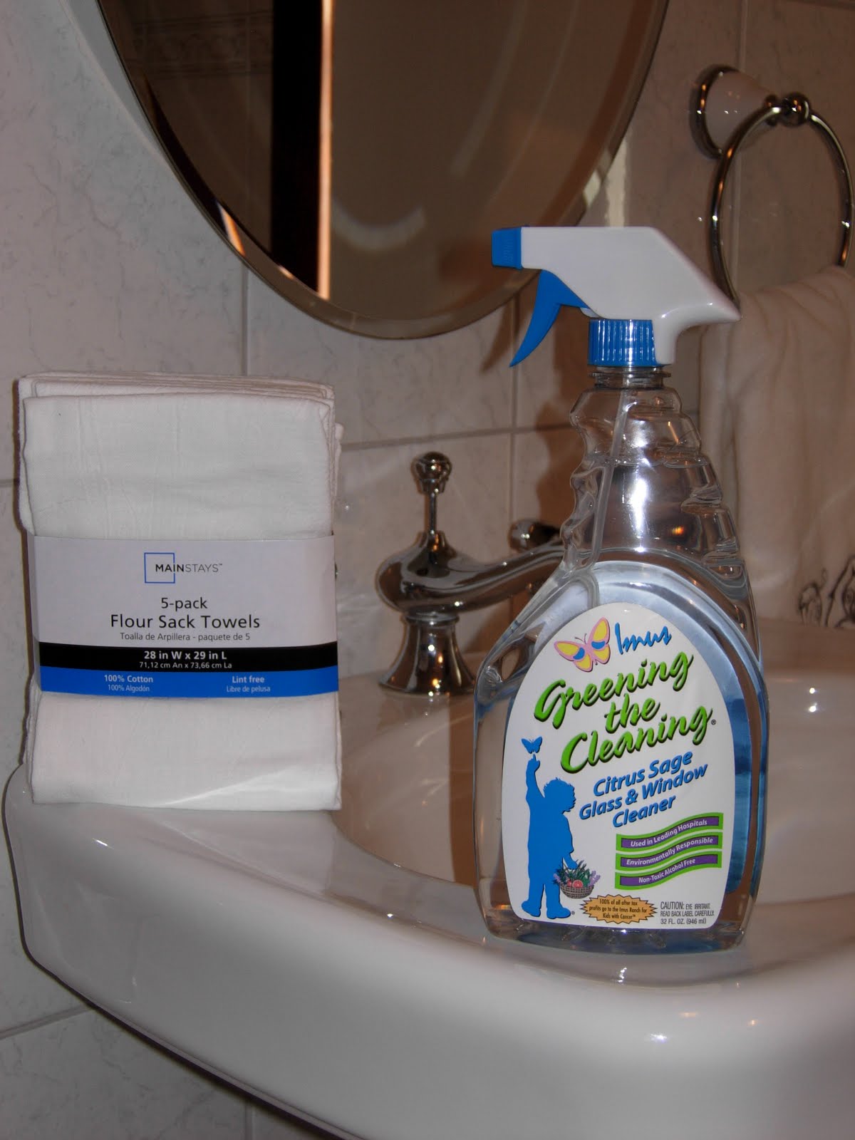 Green Sweep Cleaning Blog STREAKFREE WINDOWS & MIRRORS ARE THIS EASY!