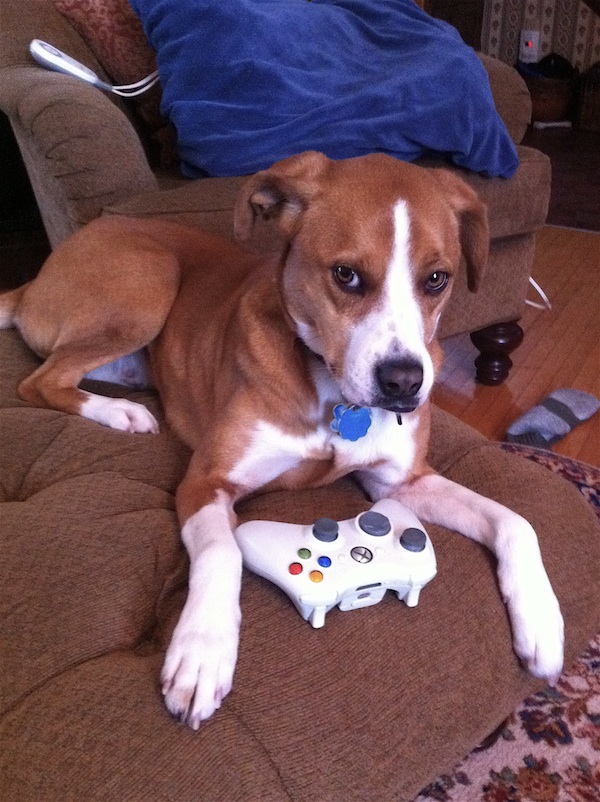 A Little Brown Blog Call of Duty Road to Family Togetherness