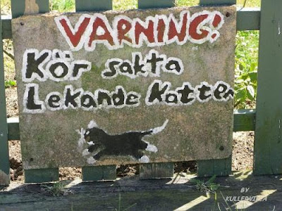 kullervilla: 2008-jun-10