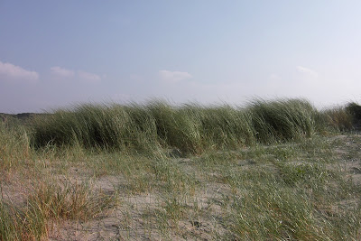 Dunes IJmuiden