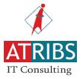 ATRIBS IT CONSULTING