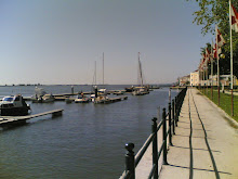 Querem fazer aqui uma estrada para uma urbanização