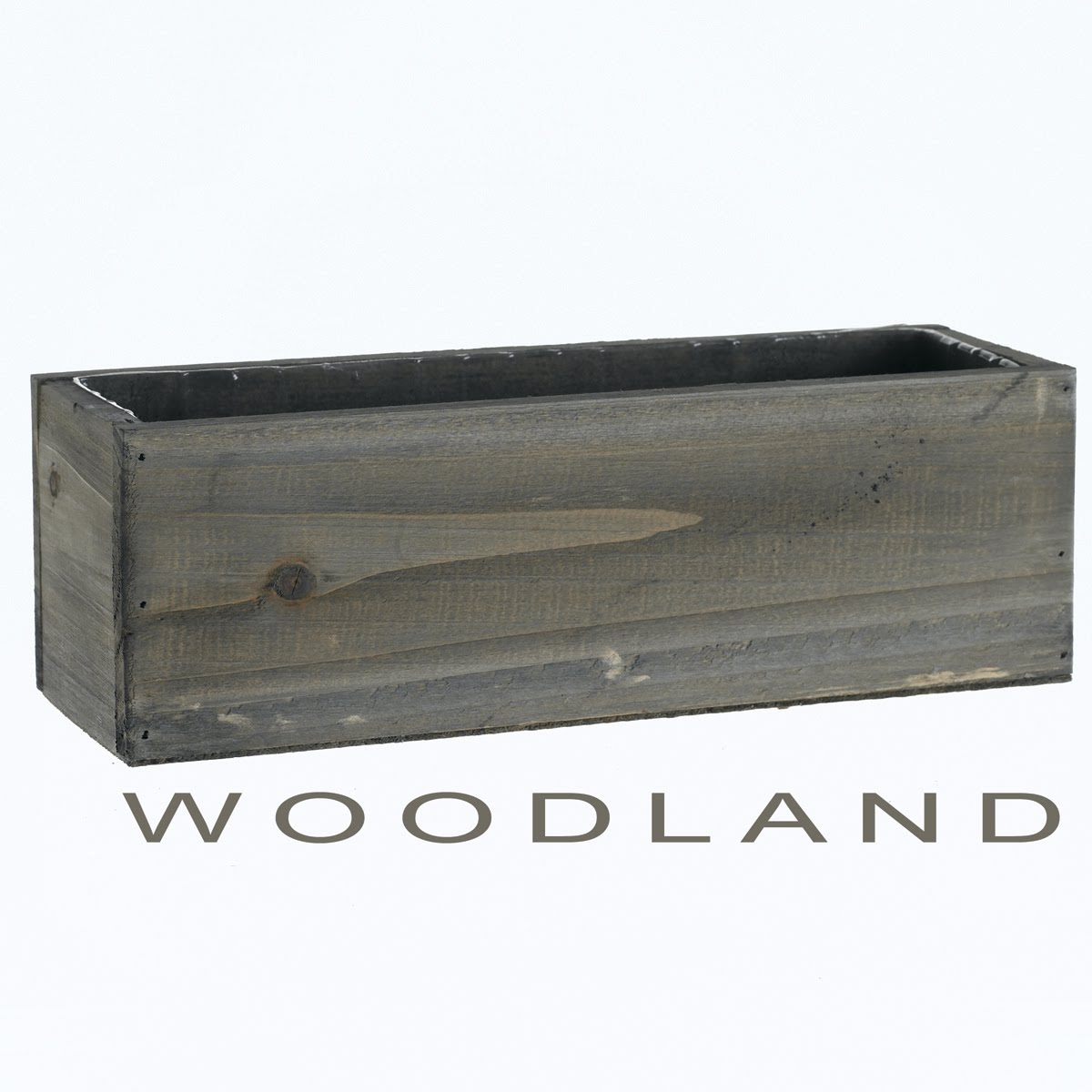 [WOODLANDT2.jpg]