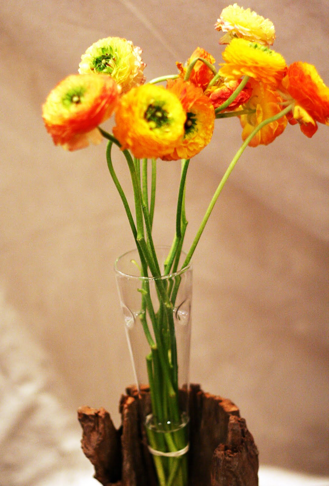 [IMG_1050edit.jpg]