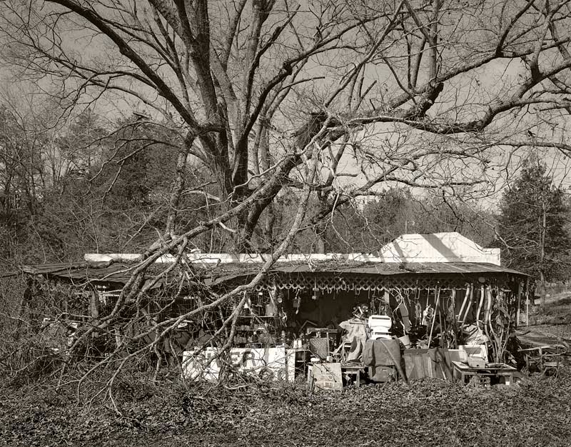 Pitchertakin': May 2010