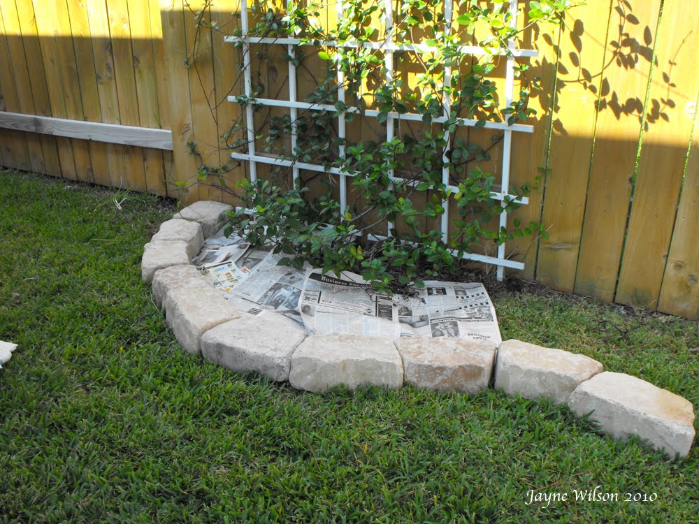 Jayne's Country Garden: Easy Garden Border