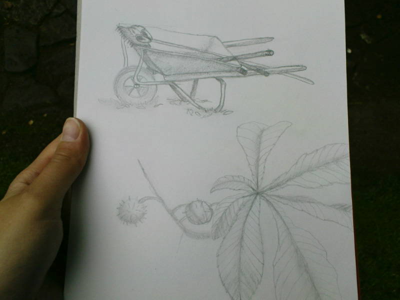 [image-upload-208-709895.jpg]