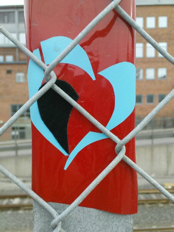 [image-upload-4-787443.jpg]