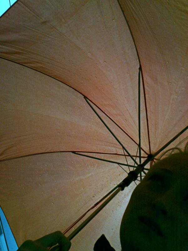 [image-upload-12-794052.jpg]