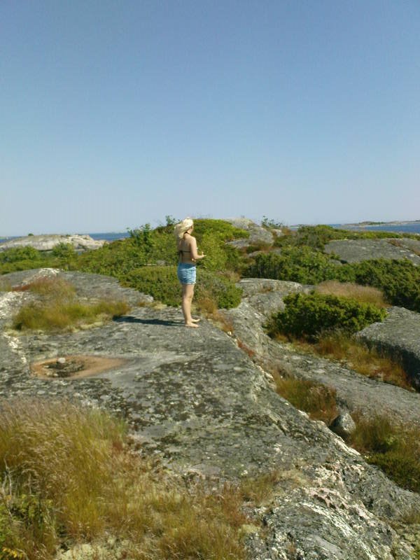 [image-upload-123-782127.jpg]