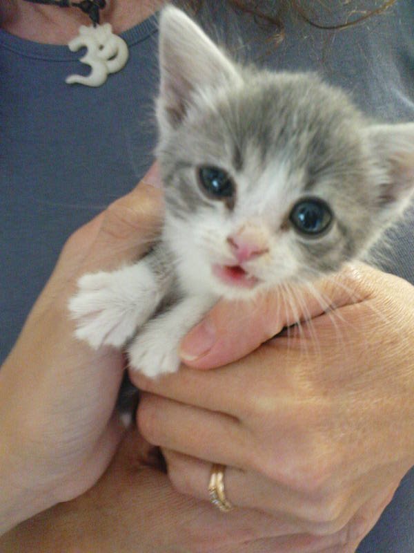 [image-upload-110-791174.jpg]