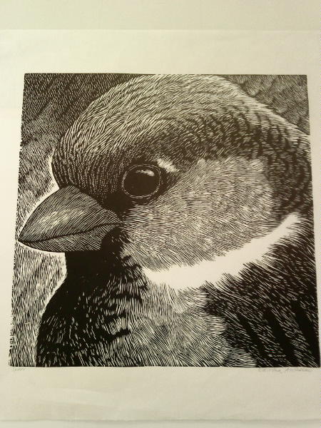 [image-upload-63-760871.jpg]