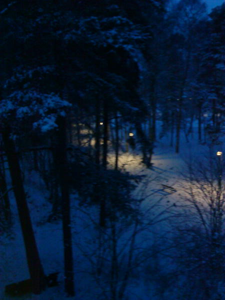 [image-upload-1-743612.jpg]