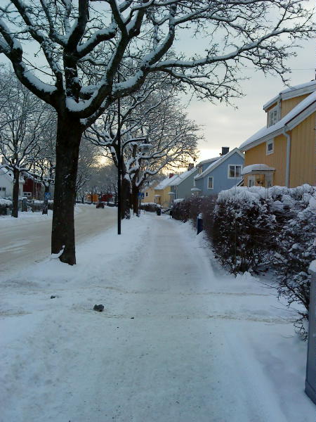 [image-upload-285-728905.jpg]