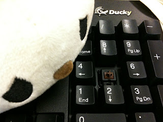 機械式鍵盤 Ducky DK-9000 (Cherry MX 茶軸) 軸心檢視
