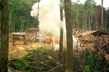 Police Attack The Penans With Tear Gas On Behalf Of Their Timber Tycoon Masters