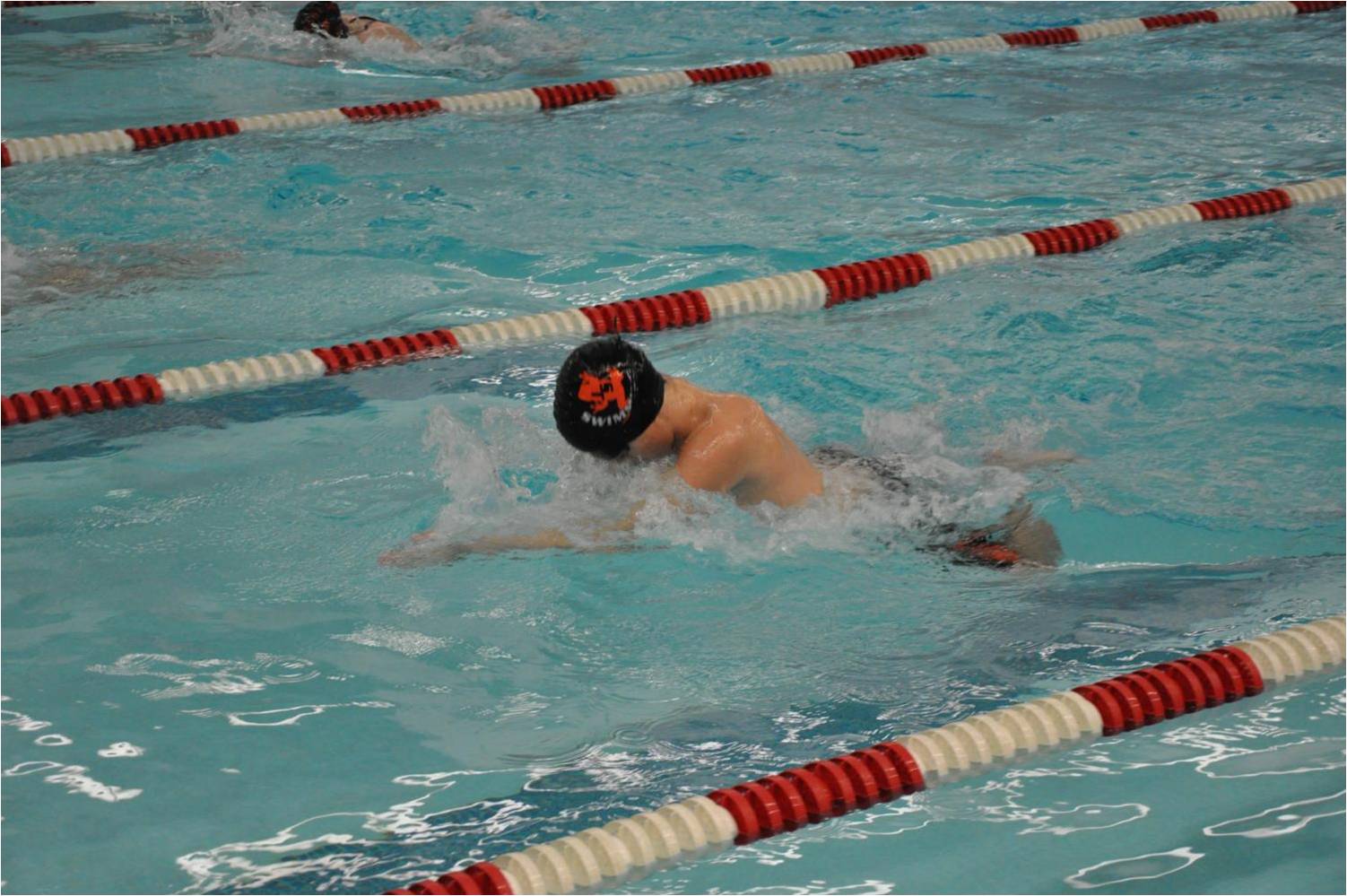 Jersey Shore (PA) Swim Jersey Shore YMCA/Bloomsburg Swim Meet Synopsis