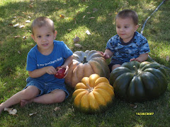 Picking Pumpkins