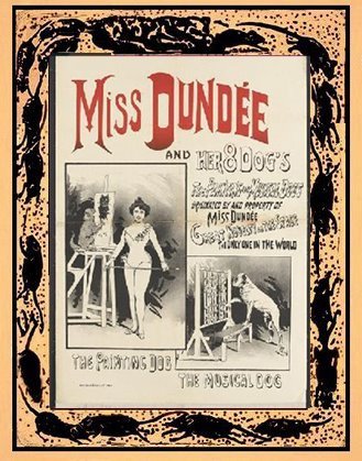 MISS DUNDEE and her 8 DOGS!