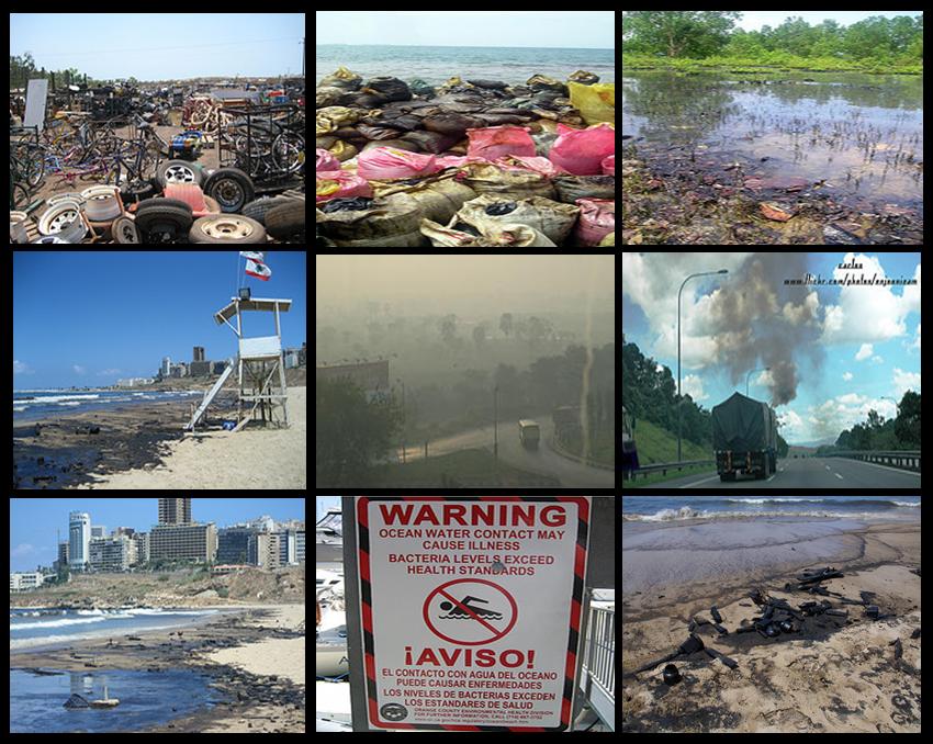 Environmental Pollution Water Pollution