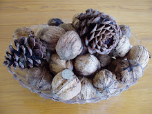 Walnuts from tree in front yard