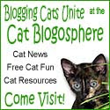 Fellow Feline Bloggers!